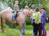 bauernhof-reiten-pferde-bayerischer-wald-150