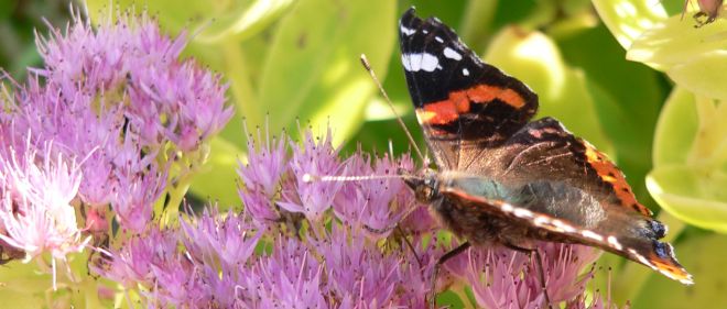Bayern Naturhotel Bayerischer Wald Biohotels