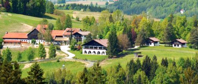 wellnessurlaub mit hund