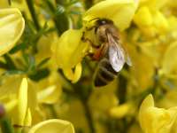 Ausflugsziele in Rheinland-Pfalz