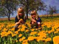 Familienurlaub Deutschland Familien Reisen Kinder