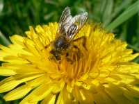 Ausflugsziele in Nordrhein-Westfalen