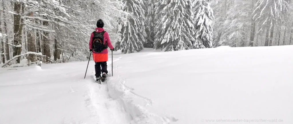 Schneeschuhwanderungen im Winter Heizbare Socken, keine kalten Füße beim Schneeschuhwandern im Winter