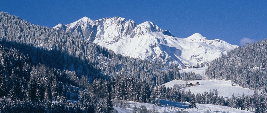 Winterurlaub in Deutschland Ski fahren und Ski online kaufen